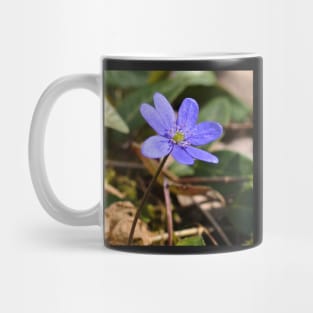 Liverflower In The Field Mug